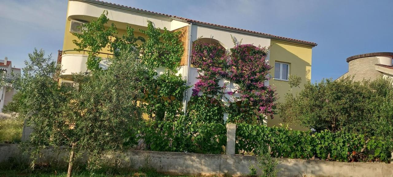 Apartmani Vranjkovic Vodice Ngoại thất bức ảnh